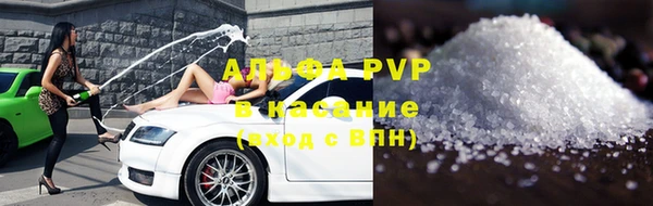 гидра Абаза