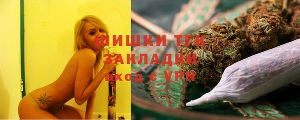 гидра Абаза