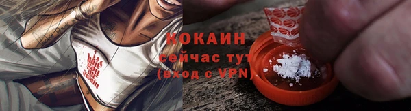кокс Алексин