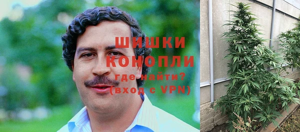 гидра Абаза