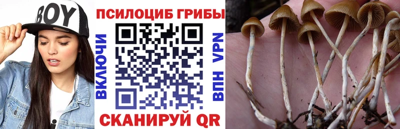 Галлюциногенные грибы MAGIC MUSHROOMS Кингисепп