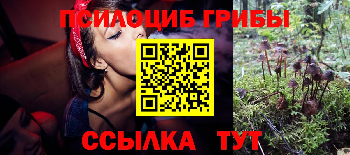 Кингисепп  Псилоцибиновые грибы MAGIC MUSHROOMS  Вход с VPN 